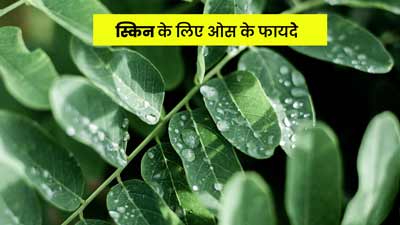 सुबह की ओस होती है सेहत और स्किन के लिए बहुत फायदेमंद, मिल सकते हैं ये 4 फायदे